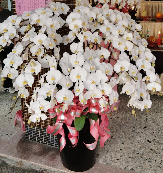 大型治喪蘭花