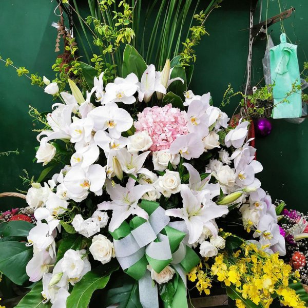 母親節優惠商品